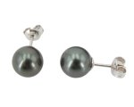 Tahitian Pearl<br>Earrings<br>9.0 - 10.0 mm